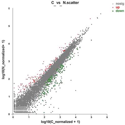 Production performance, egg quality, and uterine gene expression for layers as affected by N-Carbamylglutamate supplementation